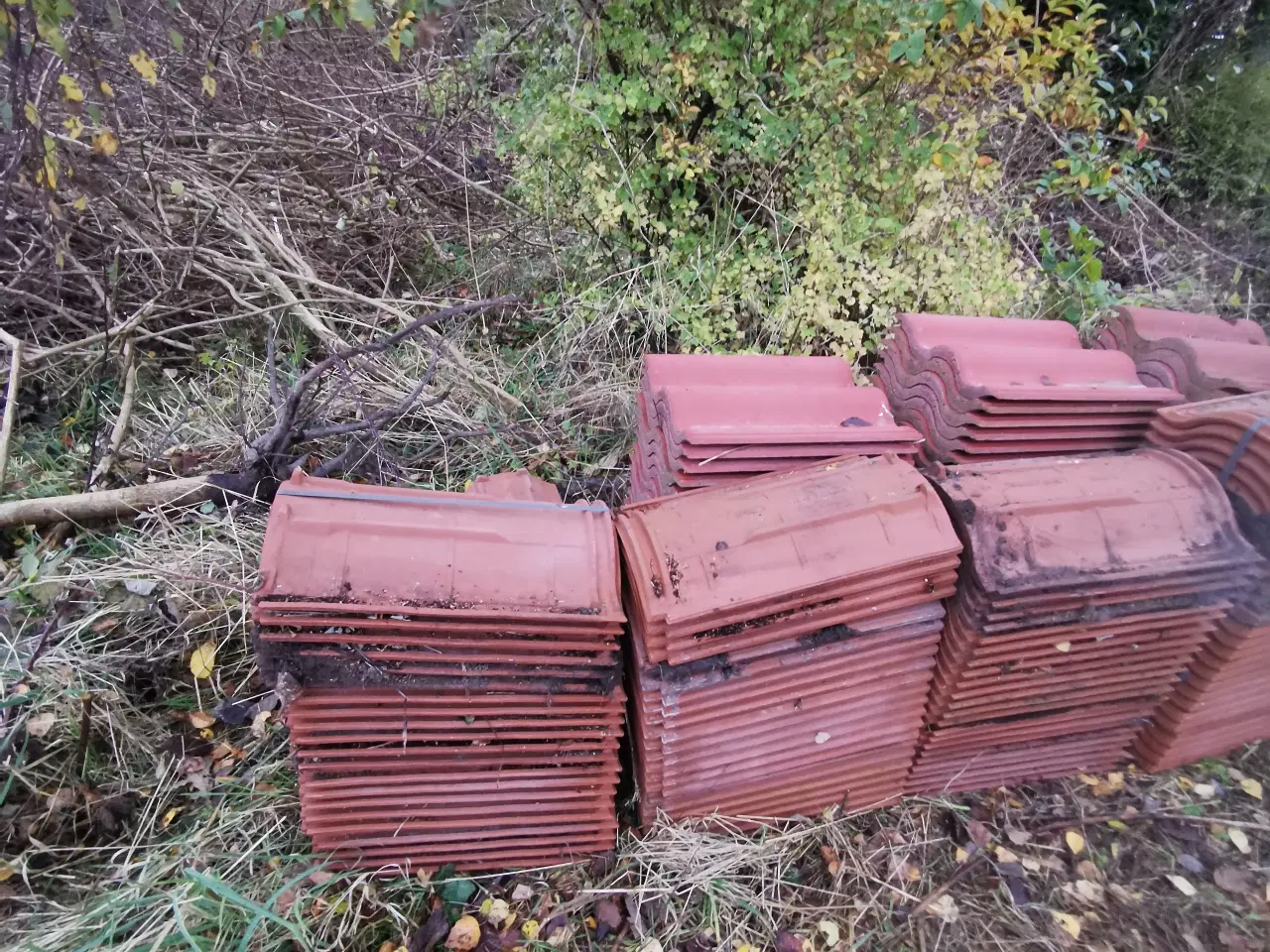 Billede 2 - Afhent teglsten