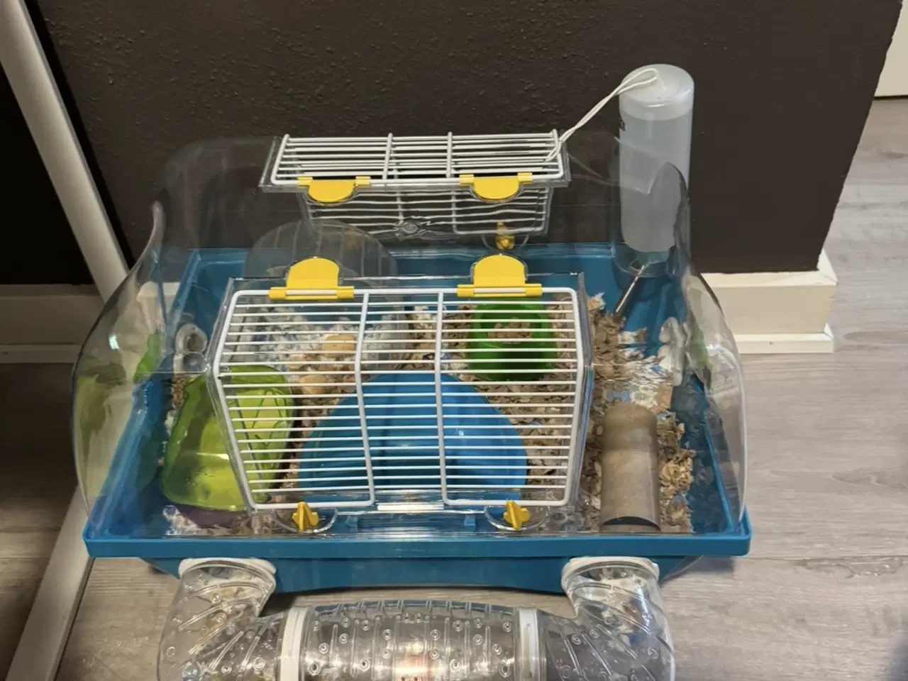 Billede 8 - 2 hamster 🐹 sælges