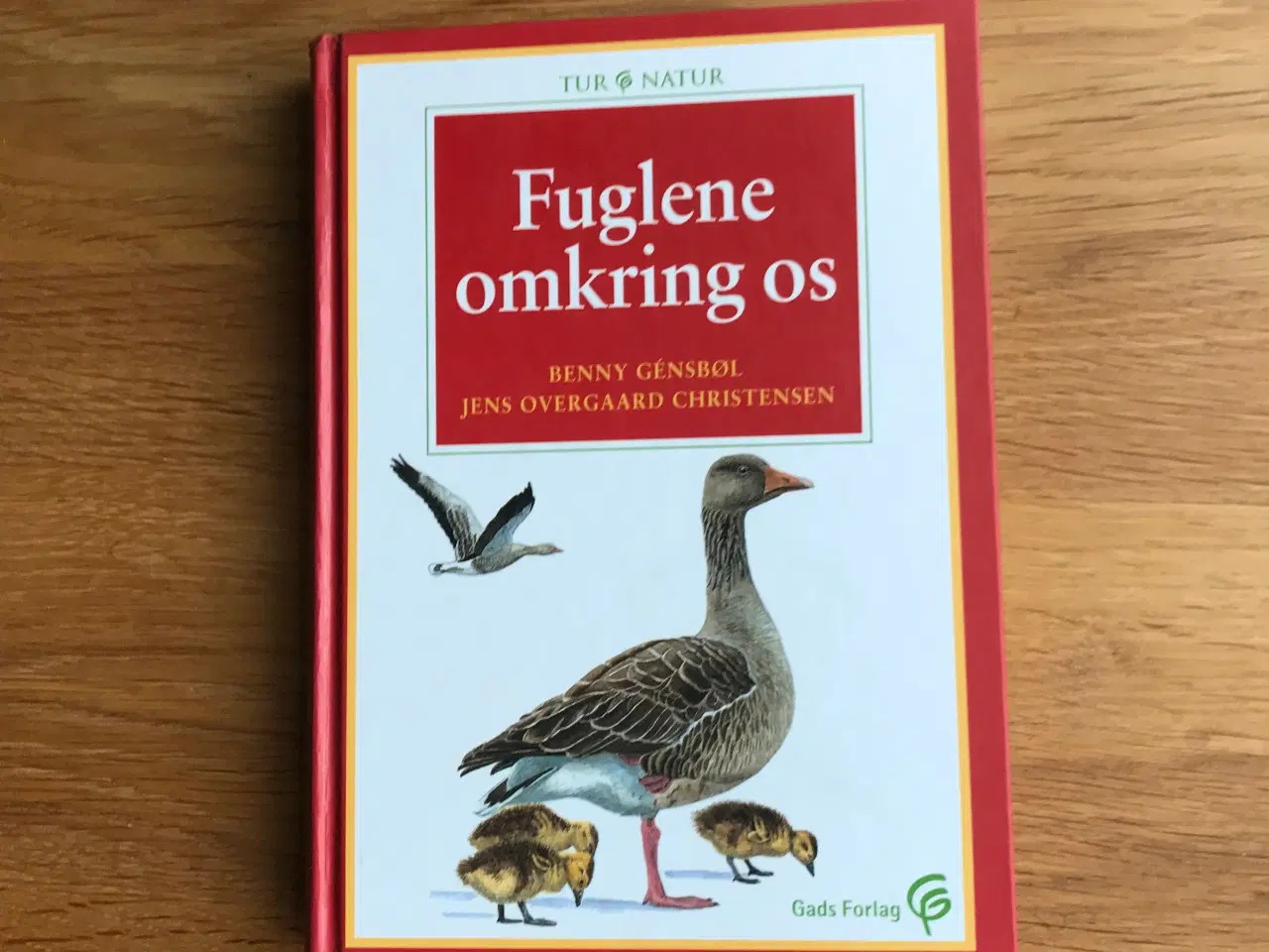 Billede 2 - Fuglene omkring os   -  Tur/Natur