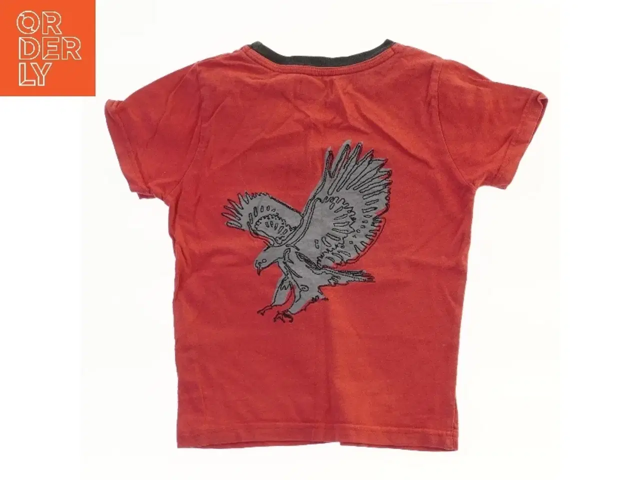 Billede 2 - Børne T-shirt med ørnebillede fra Cottonfield (str. 98)