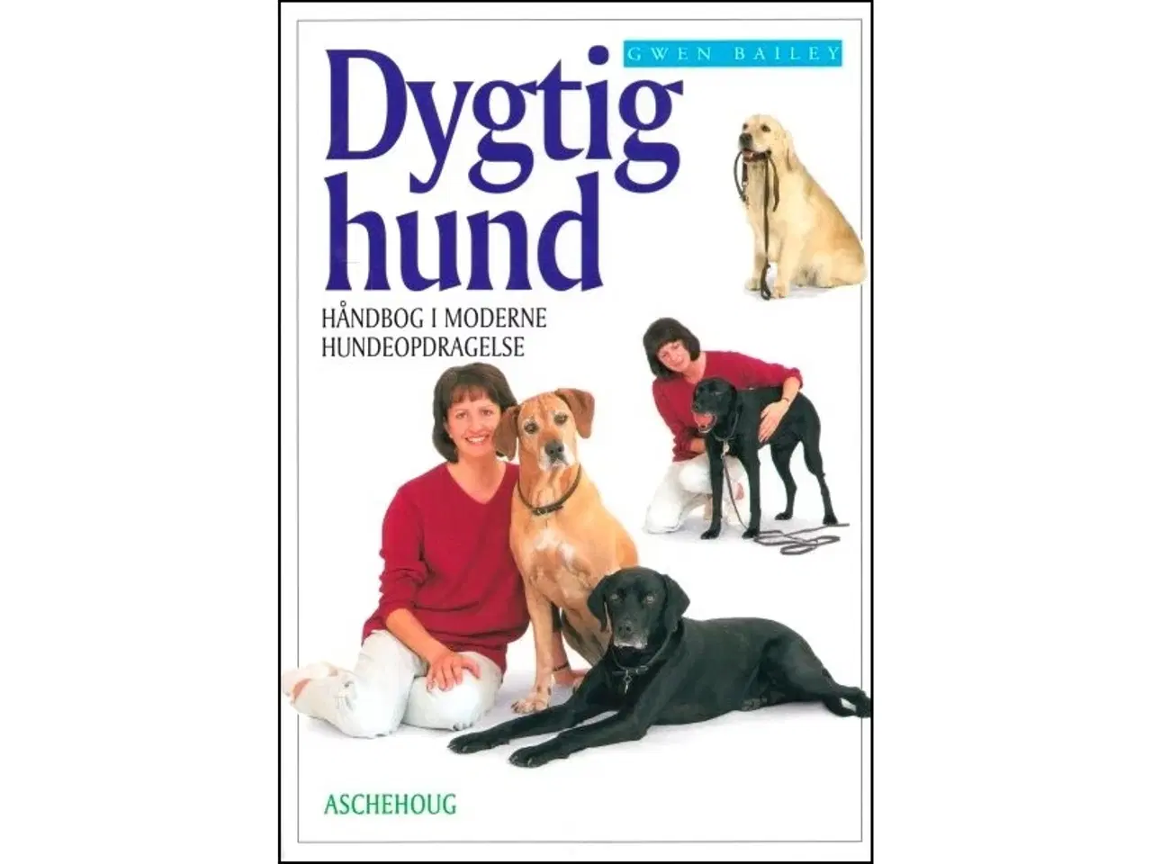 Billede 1 - Dygtig Hund - Håndbog i moderne Hundeopdragelse