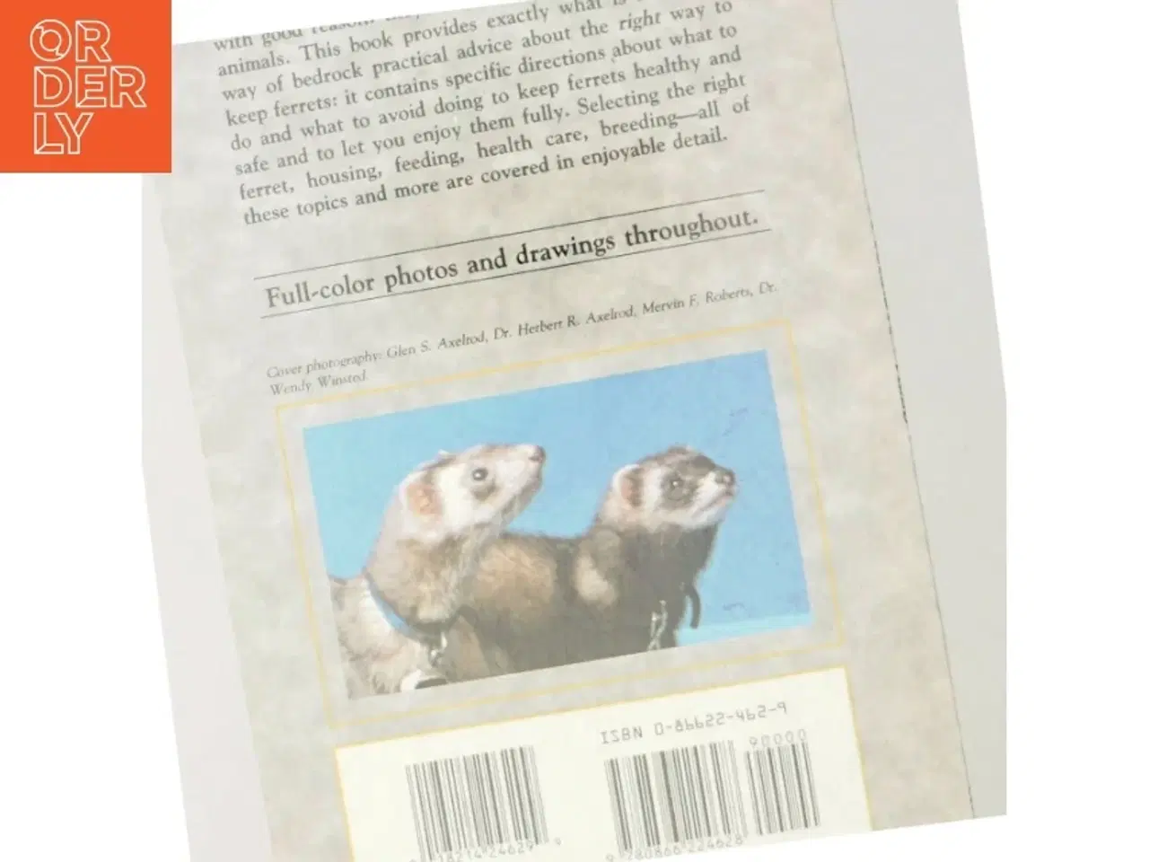 Billede 5 - A step-by-step book about ferrets (Bog)