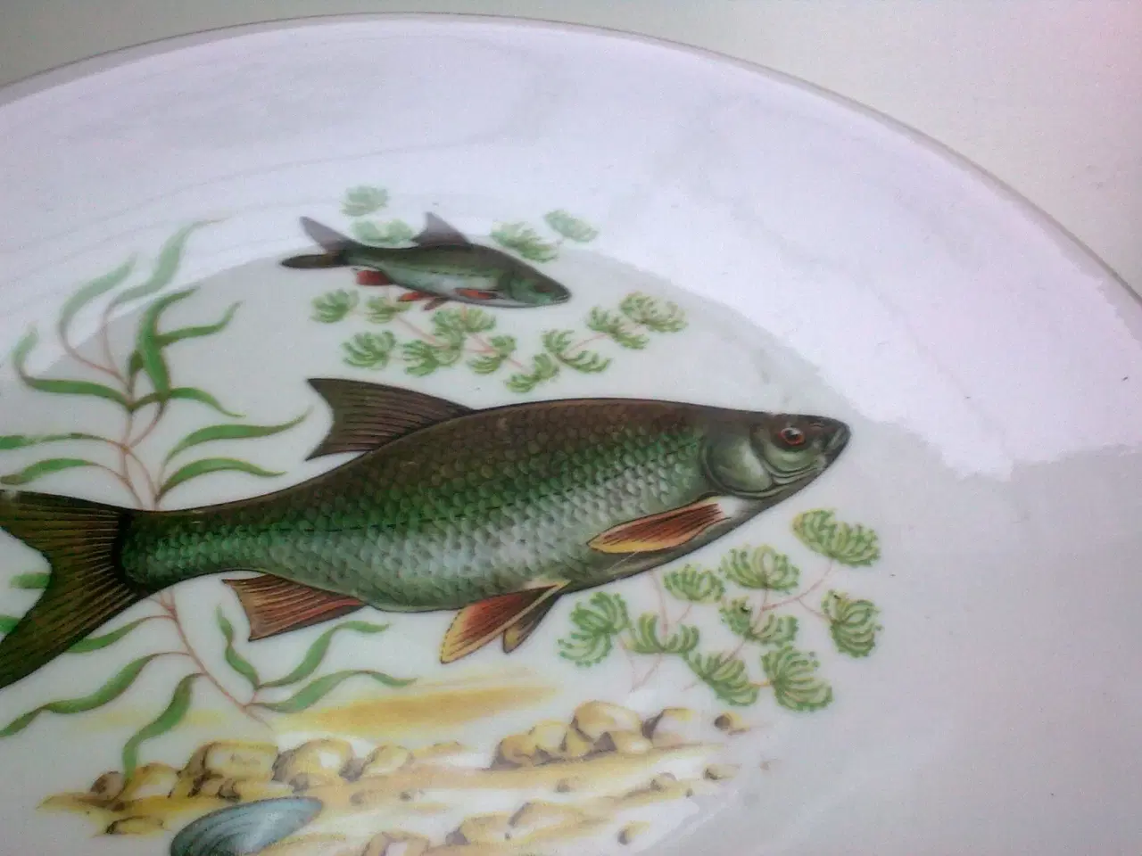 Billede 7 - Frokost fisk T2 sjov sild hygge tallerken sæt