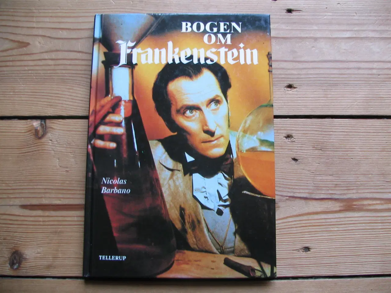 Billede 1 - Bogen om Frankenstein