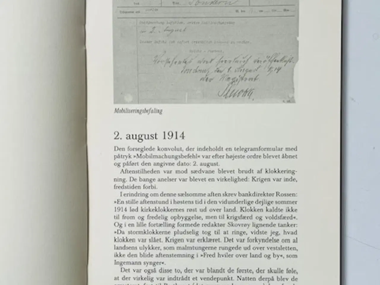 Billede 6 - Godsinspektør H.C. Davidsens Forbryderalbum