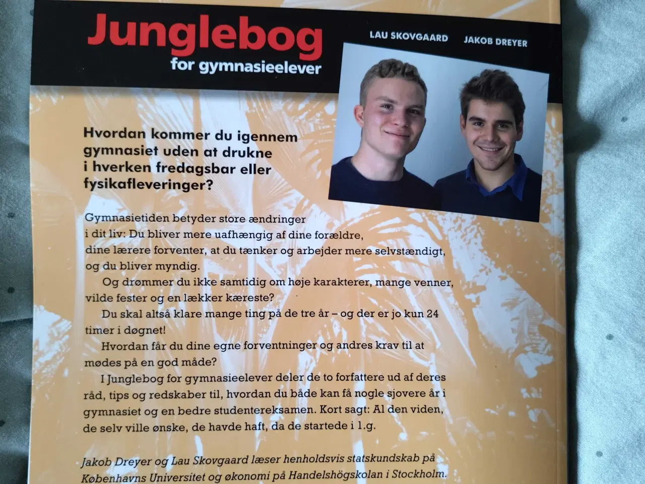 Billede 2 - Gymnasiebog 