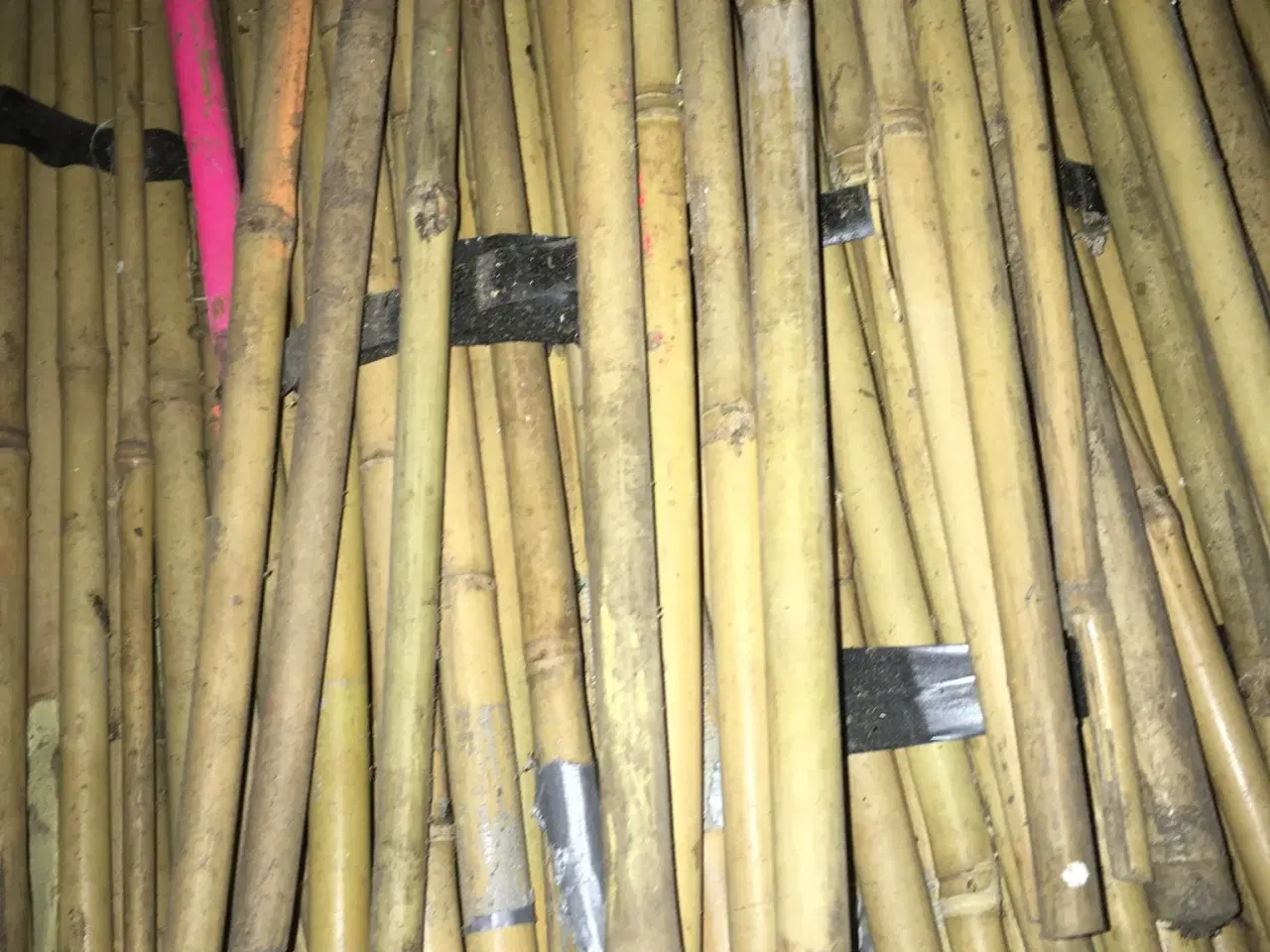 Billede 1 - Bambus pinde