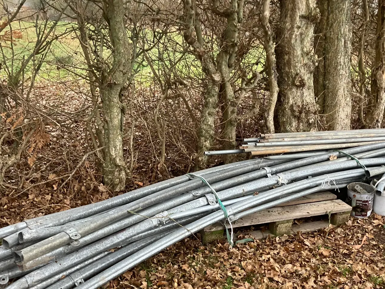 Billede 8 - Tunneldrivhus