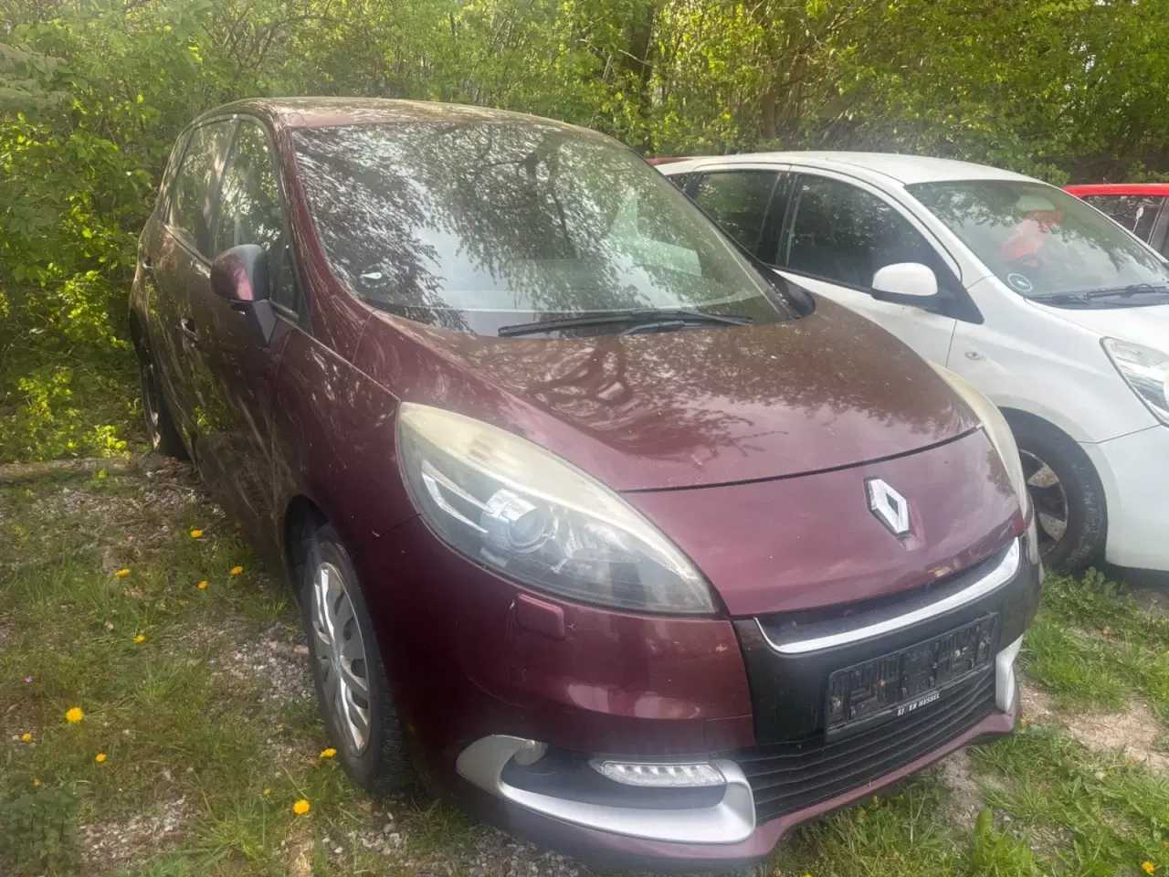 Billede 1 - Renault Scenic III 1,5 dCi 110 Dynamique aut.
