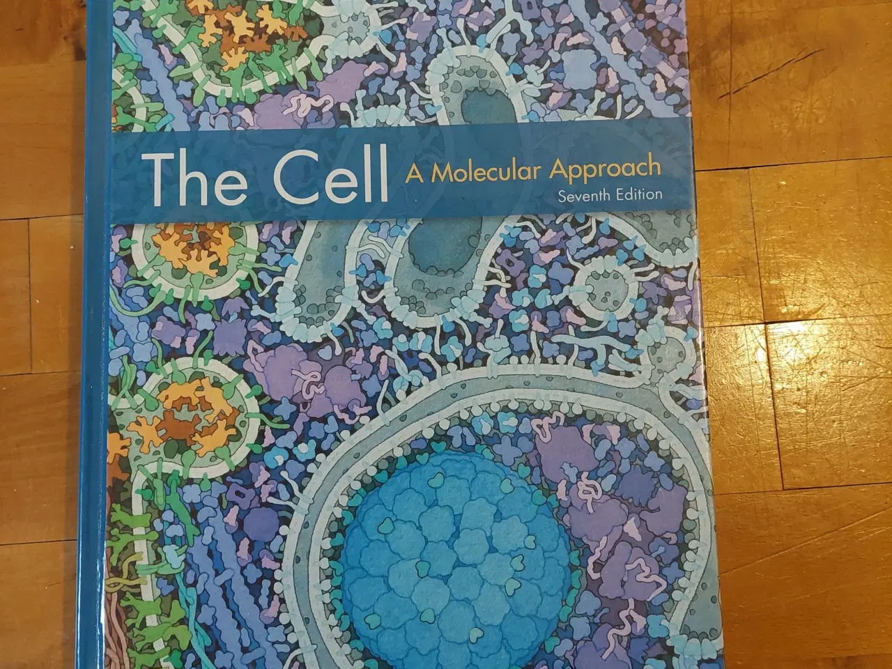 Billede 1 - The Cell: A Molecular Approach