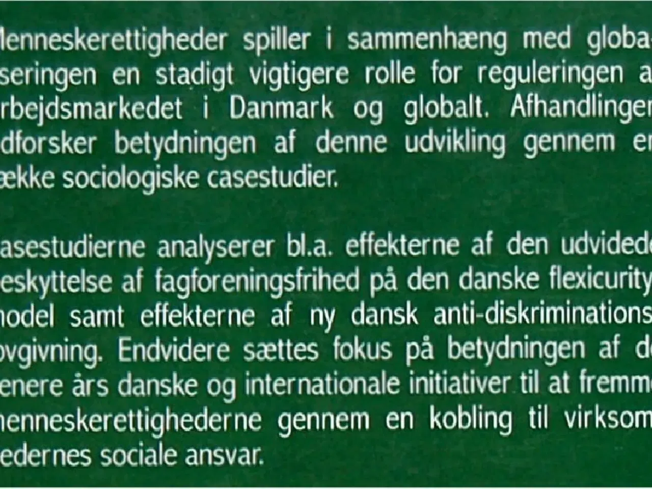 Billede 3 - MENESKERETTIGHEDER & SOLIDARITET   Frederik Thuese