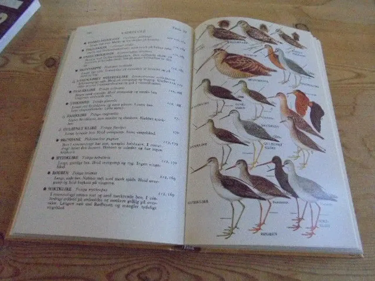 Billede 3 - Europas fugle - illustreret fuglehåndbog 