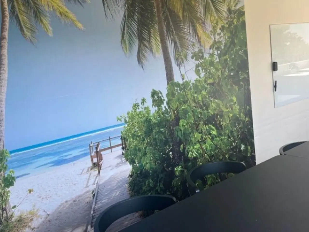 Billede 5 - Schmitz Cargobull 04 Vin