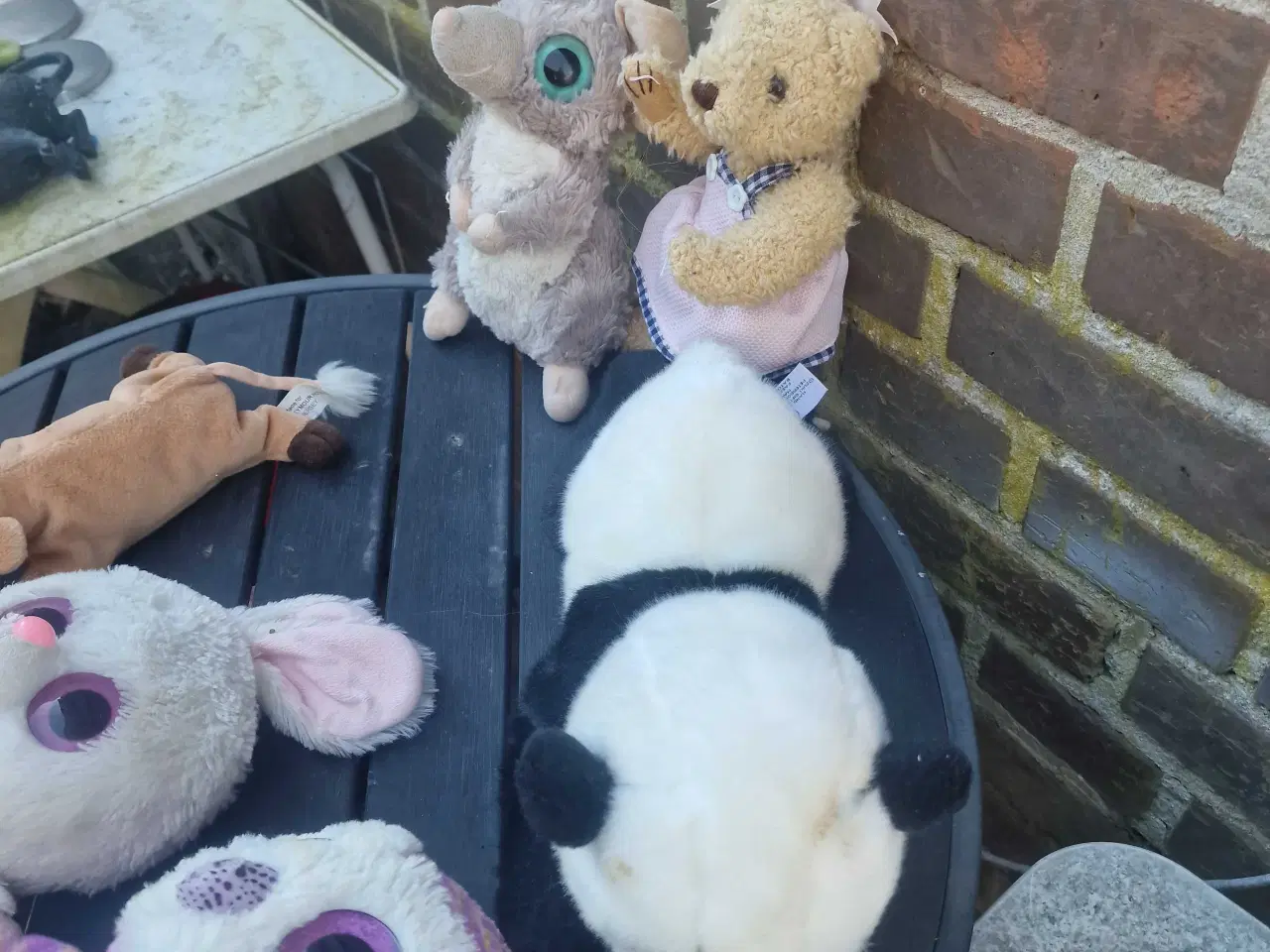 Billede 5 - Dukker 12stk