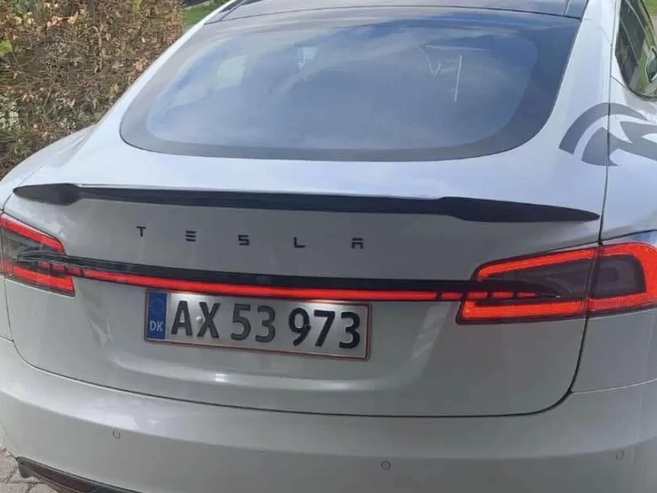 Billede 3 - EVETESLA - DRAGONTAIL - MODEL S - 21” GULDFÆLGE
