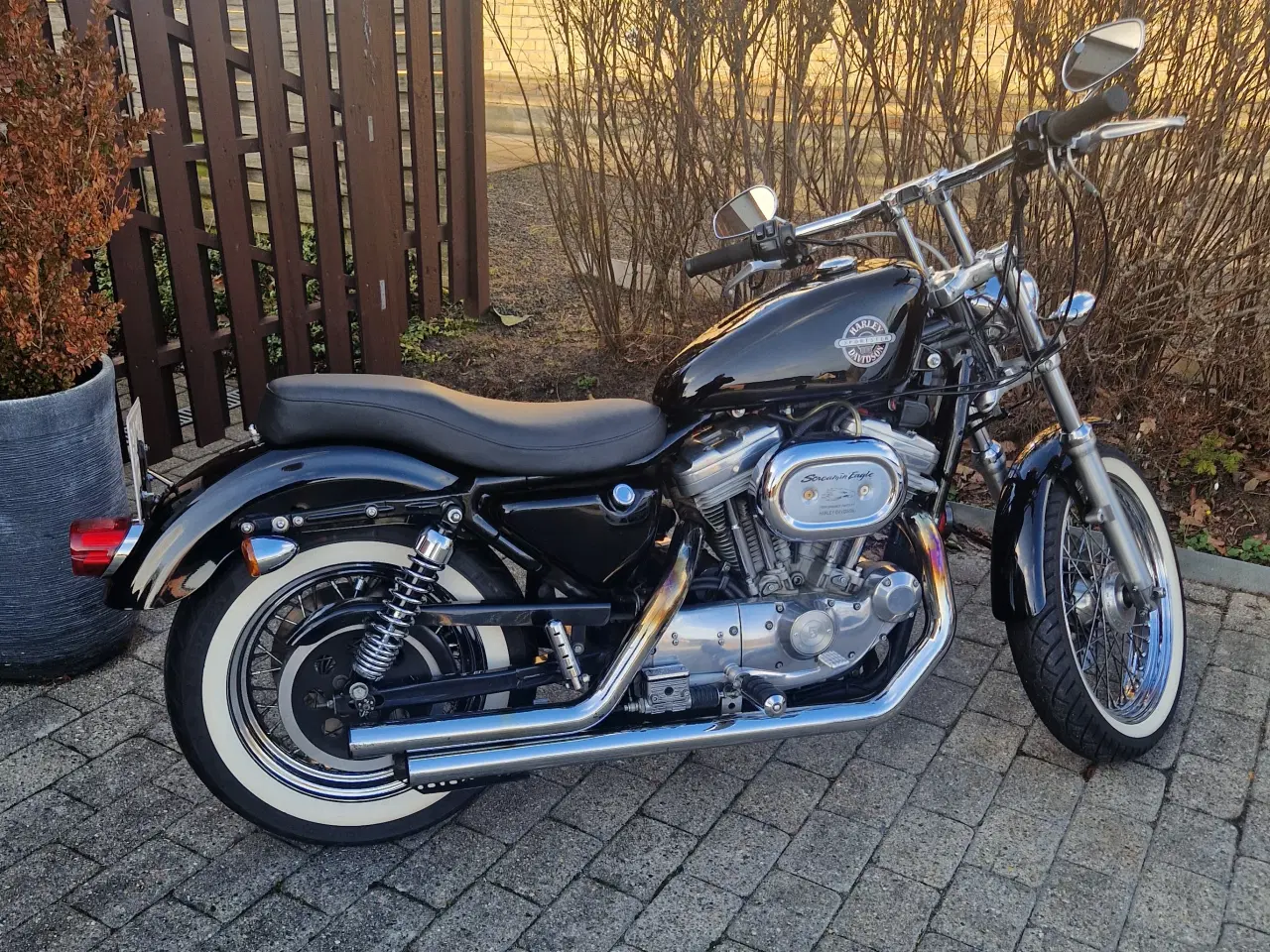 Billede 1 - Pæn Sportster sælges