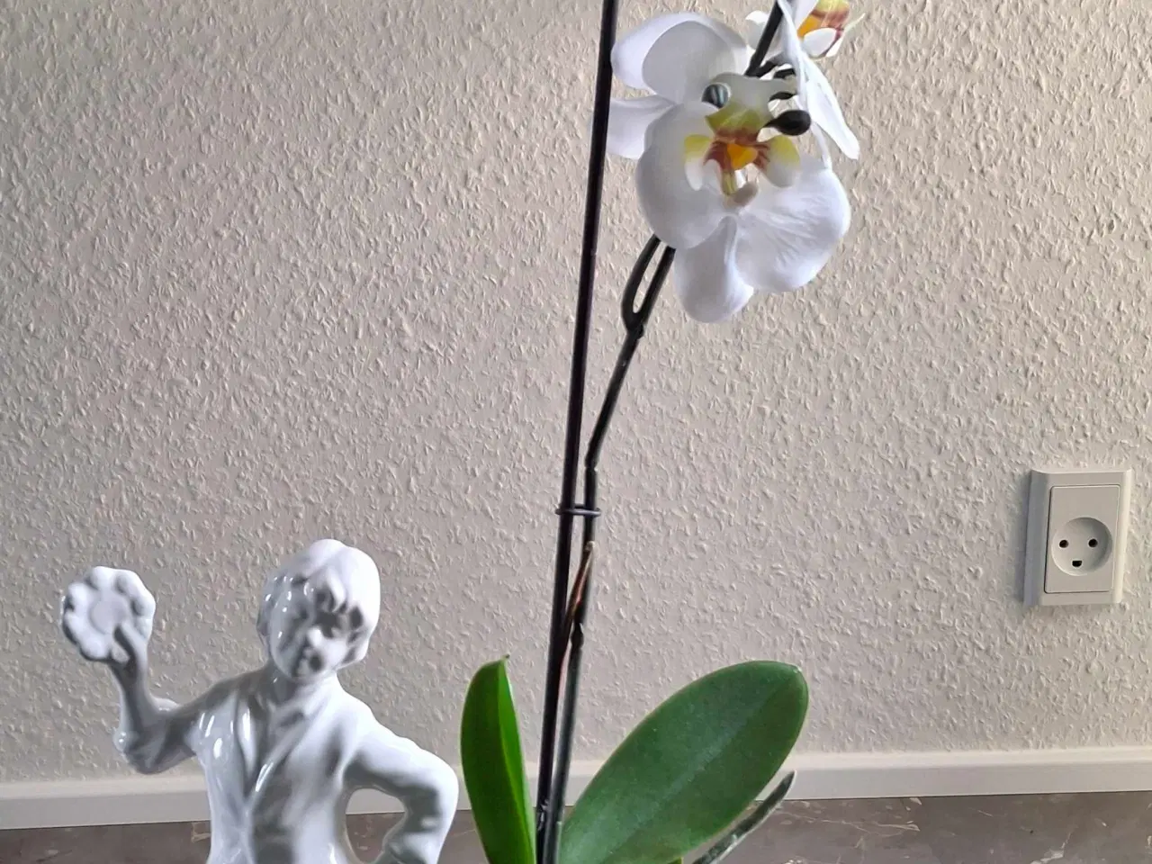 Billede 7 - Gamle urtepotter