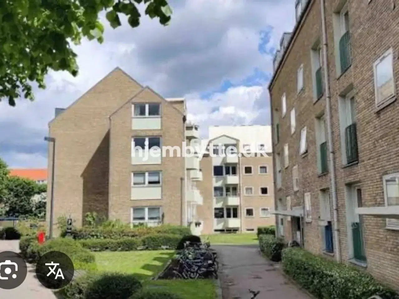 Billede 1 - Hjembytte - Buskager