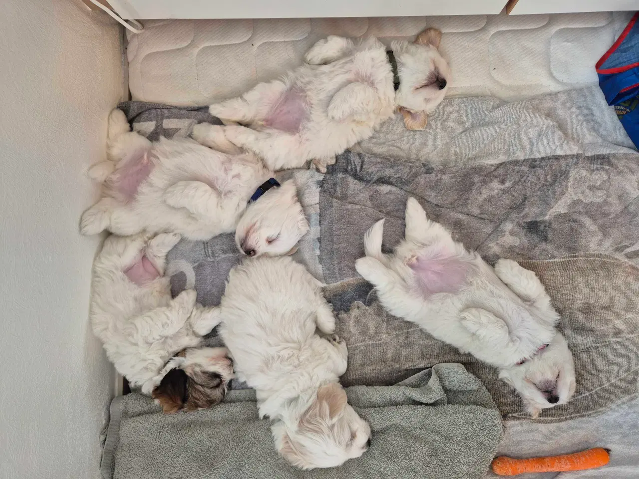 Billede 6 - Bomulds basse 🥰 "Blue"