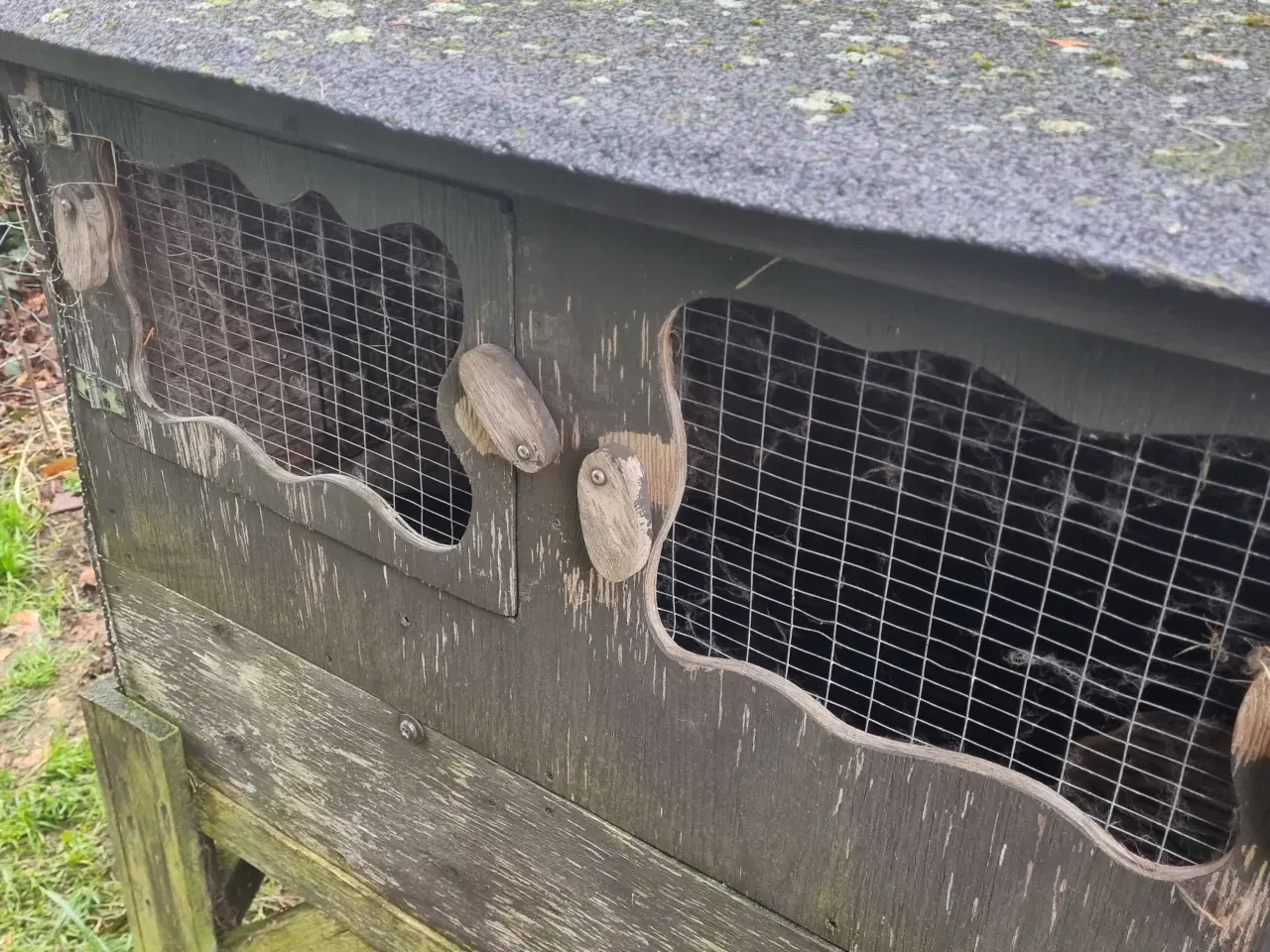 Billede 1 - Udebur + kanin – kun 200 kr