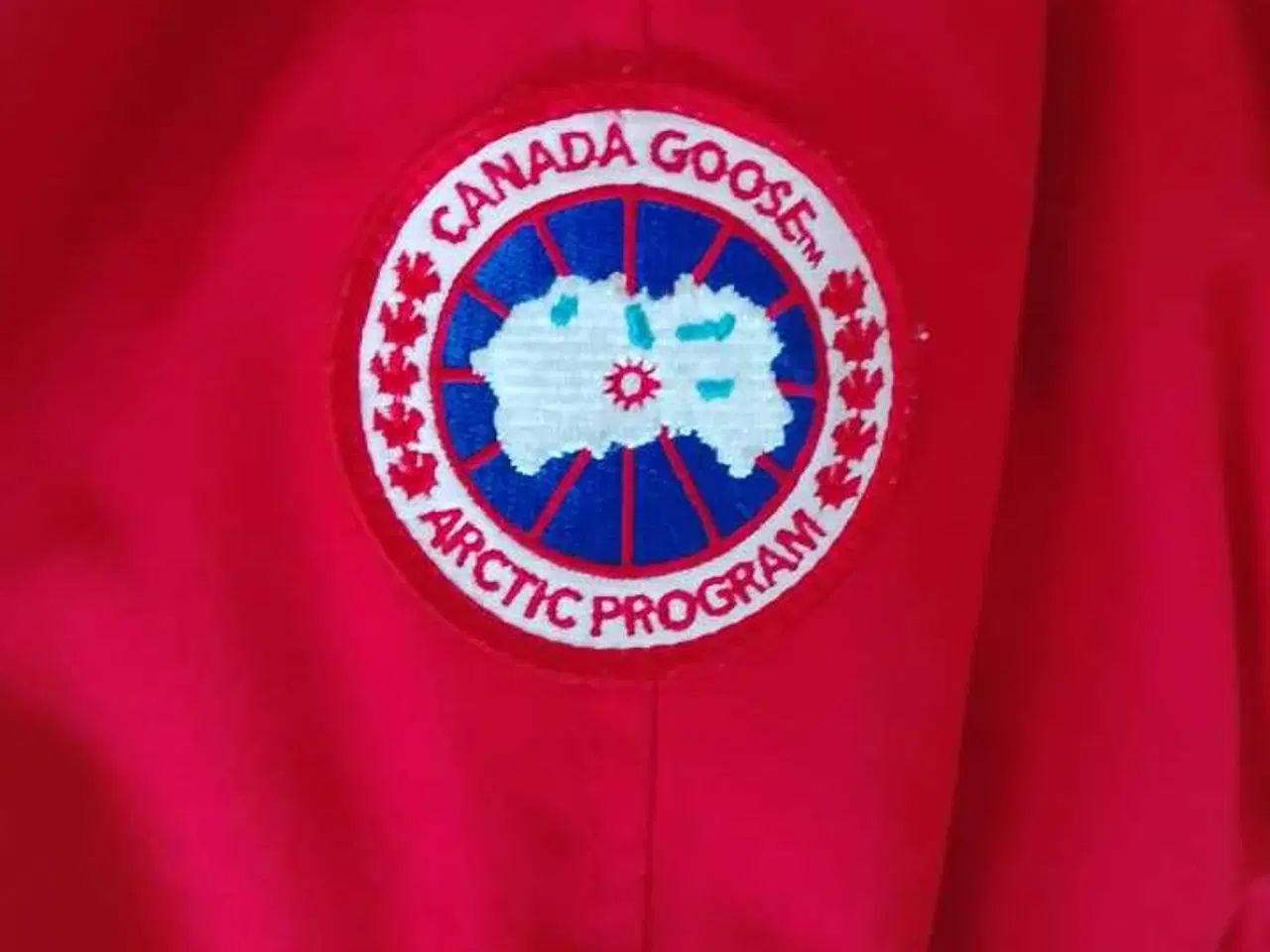 Billede 2 - Canadien Goose