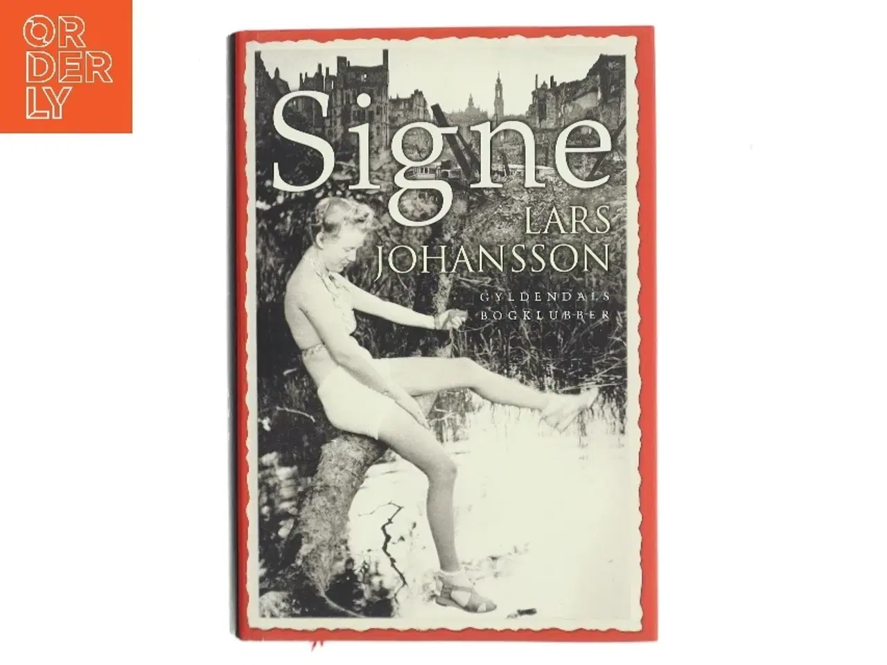 Billede 1 - Signe : roman af Lars Johansson (f. 1949) (Bog)