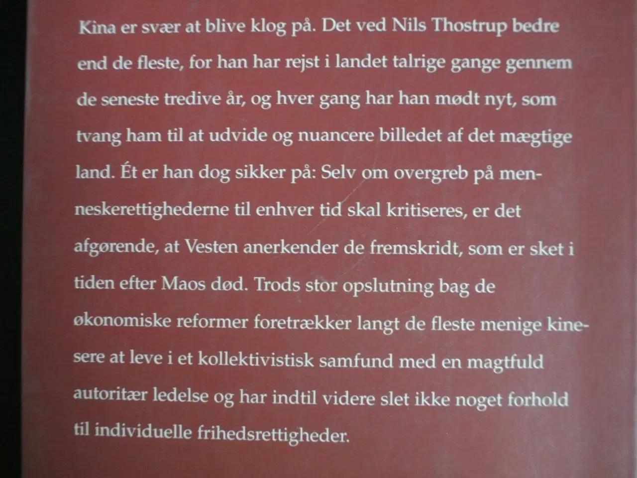 Billede 3 - kina bag spejlet -en beretning om det moderne kina