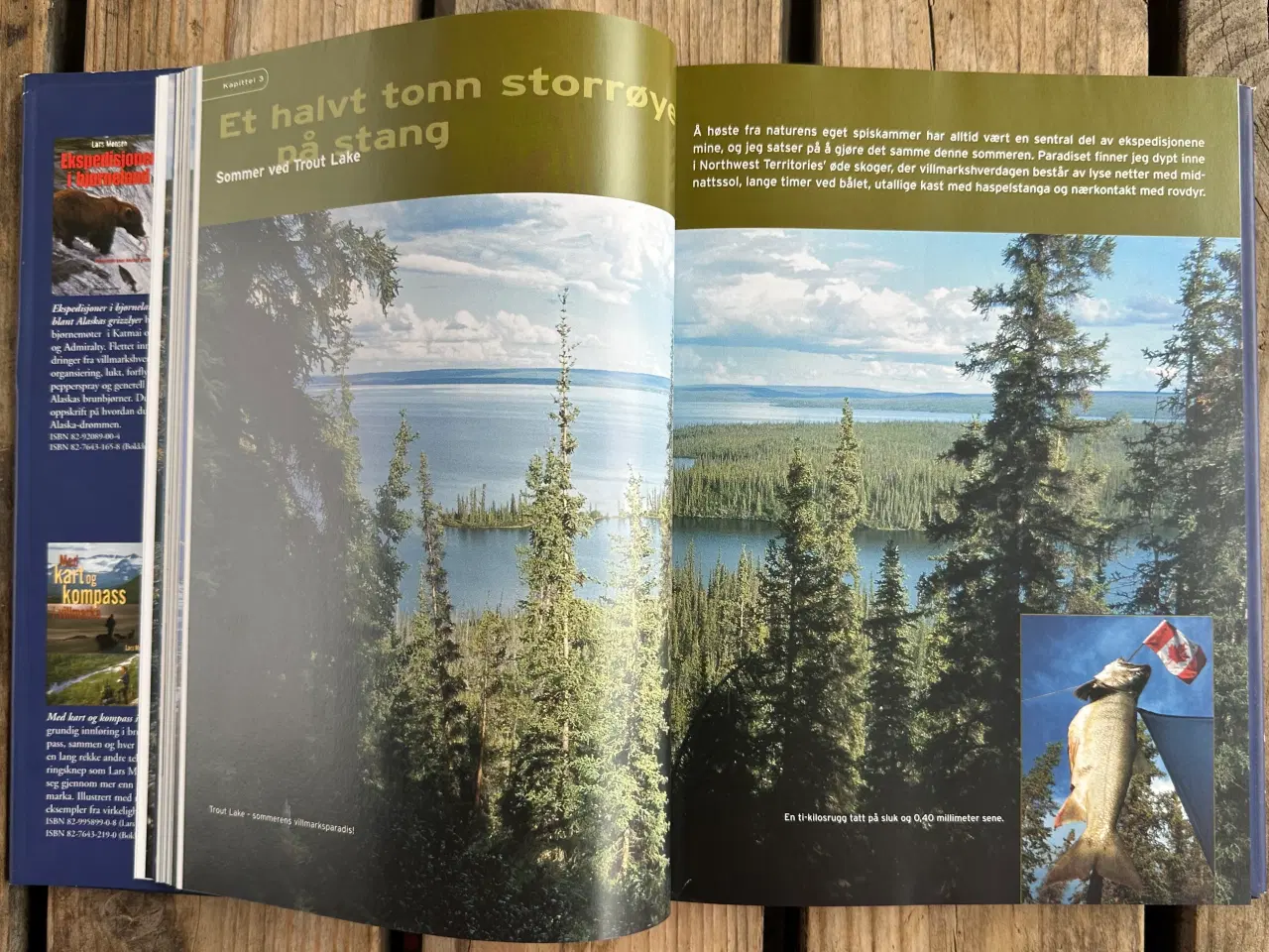 Billede 6 - Med Kamera i Norsk Natur – Nils Viker – Norsk