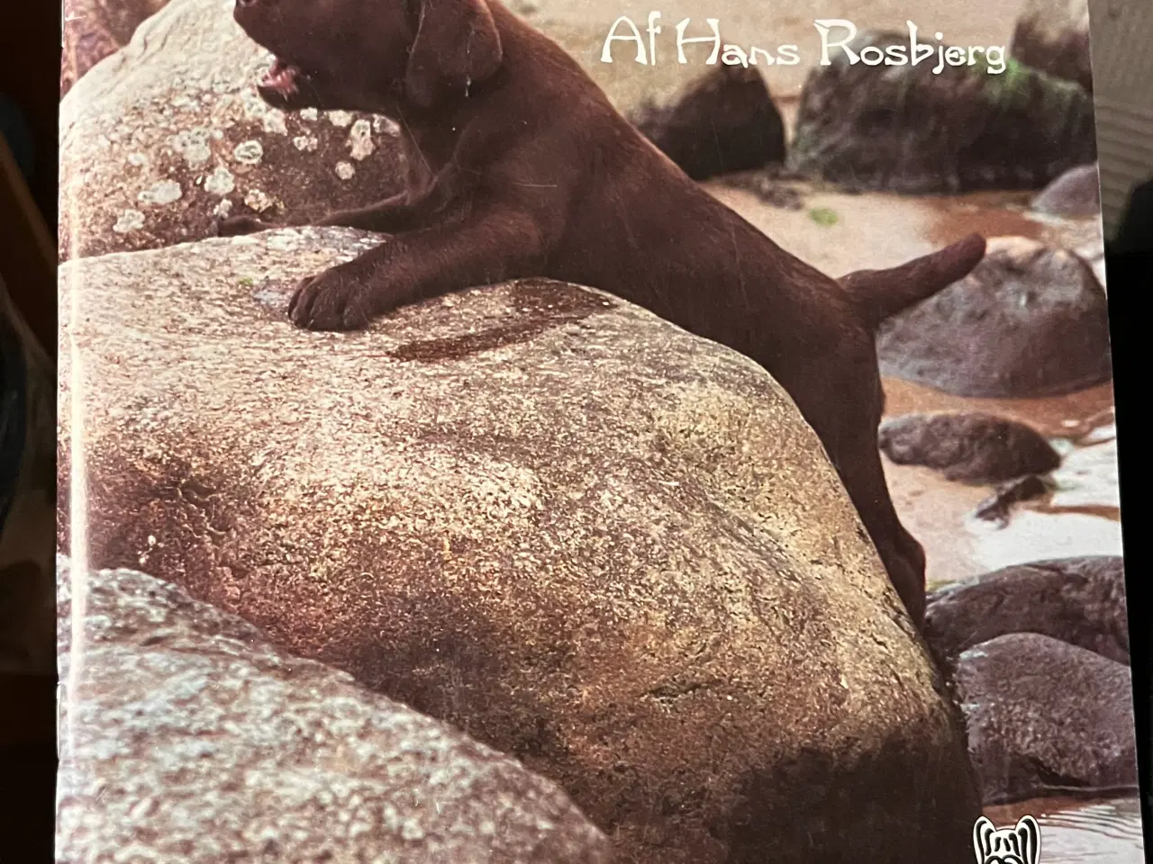 Billede 11 - Hundetræning, adfærd og viden om hunde