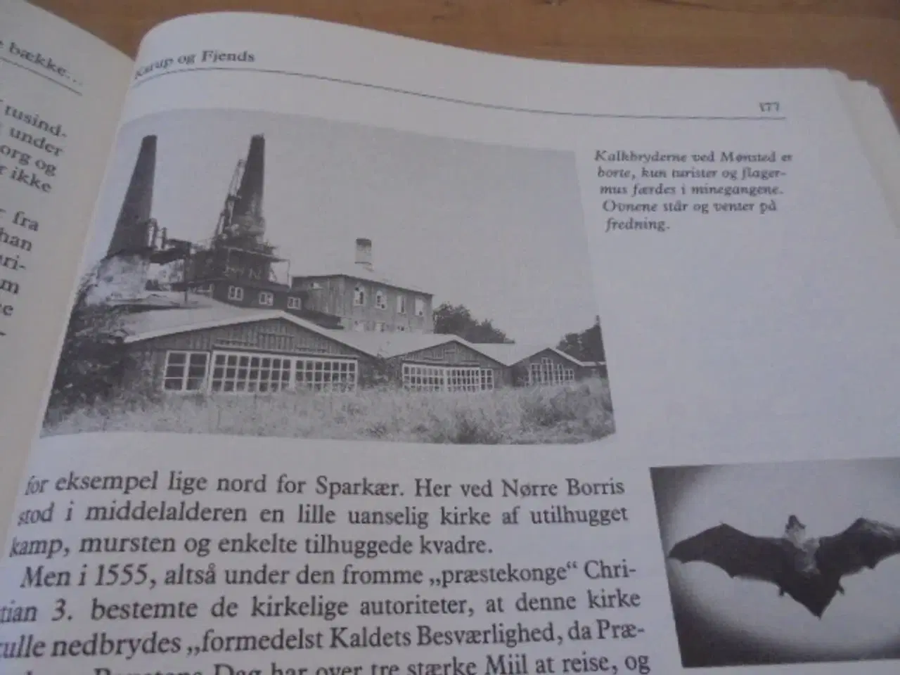 Billede 5 - Vestjylland – oplevet og beskrevet af Svend Cederg