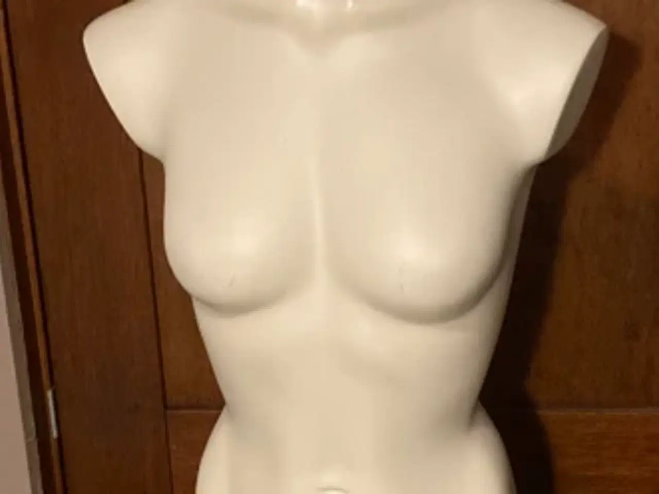 Billede 1 - Mannequin torso 