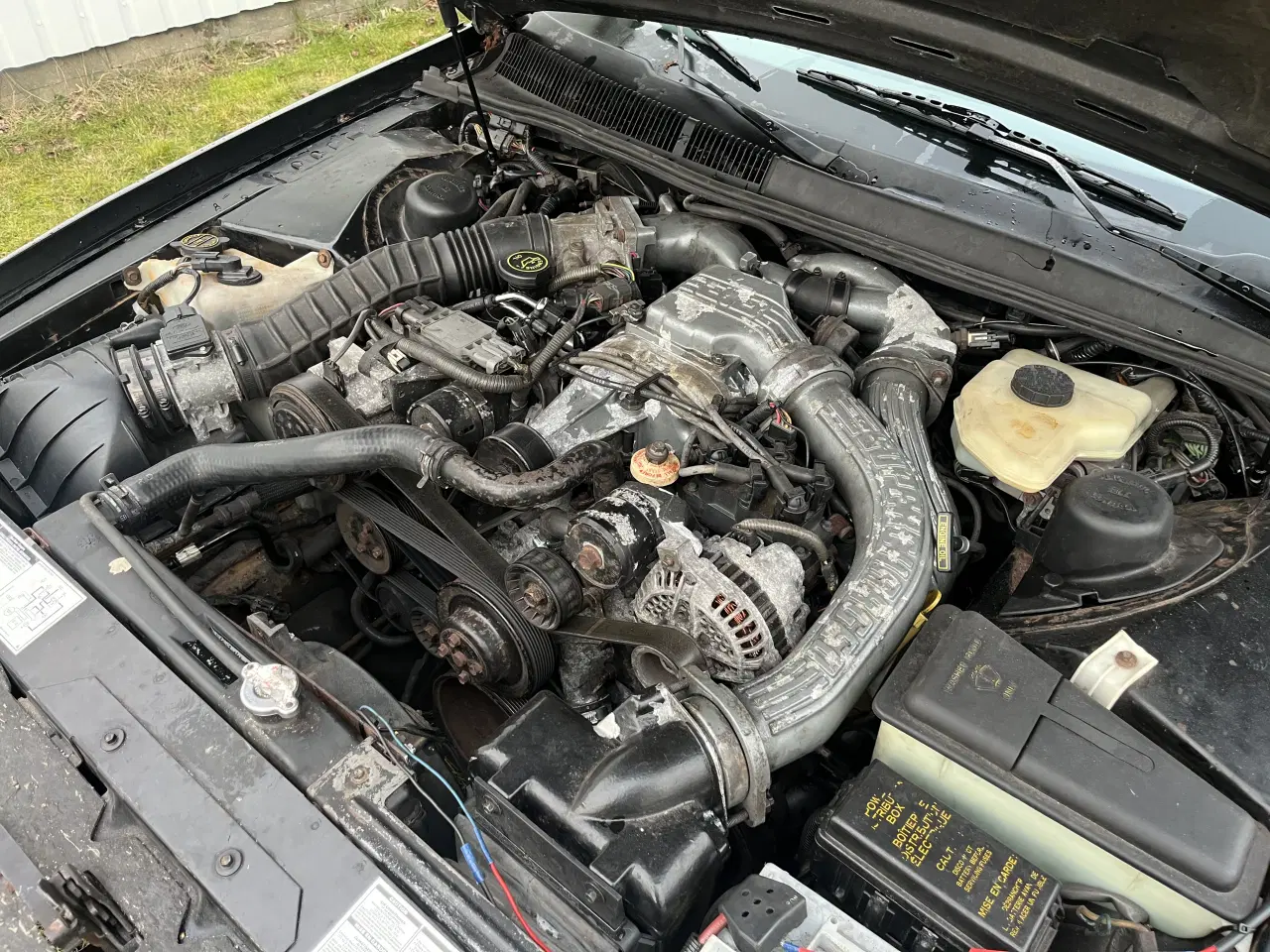 Billede 9 - Ford Thunderbird 3,8L V6 Supercharged