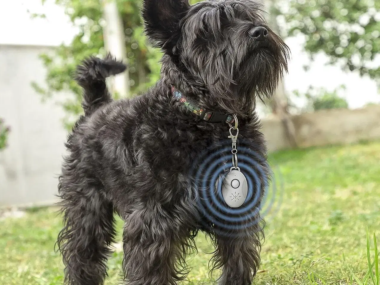 Billede 3 - PetRep - genopladelig ultralyd mod flåter og lopper