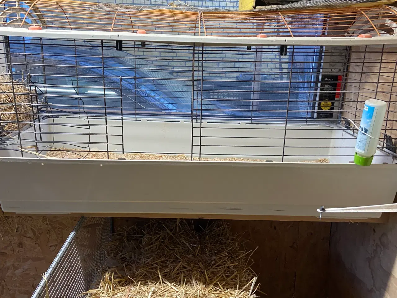 Billede 2 - Kanin / marsvin bur