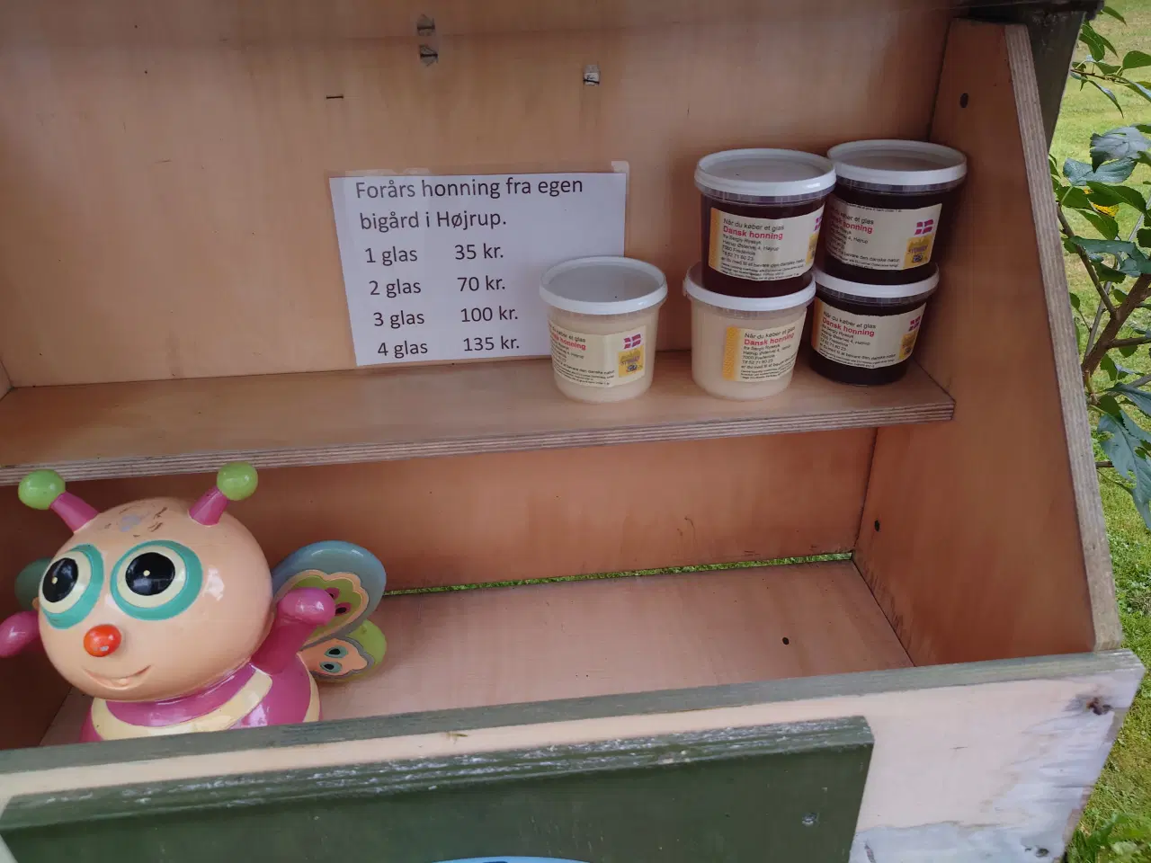 Billede 2 - Dansk forårs og sensommer honning 2023