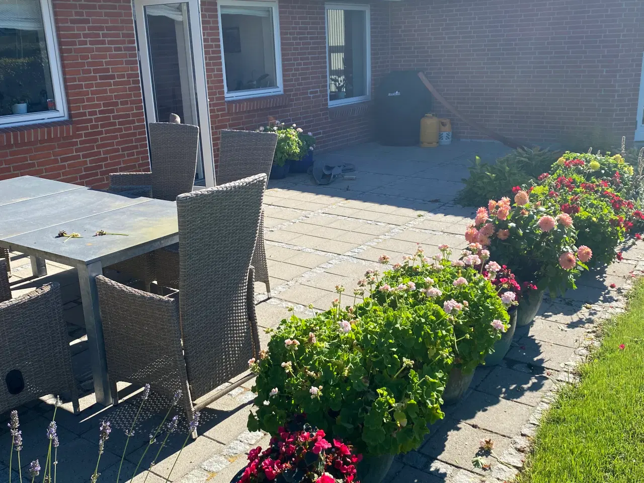 Billede 1 - ca. 50 m2 Gratis 30 x 30 cm grå havefliser