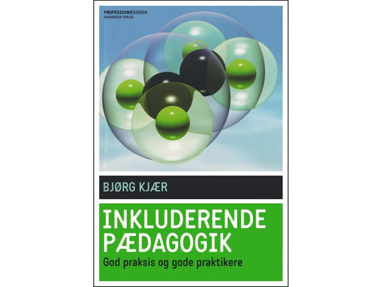Billede 2 - Den Velfærdsprofessionelle