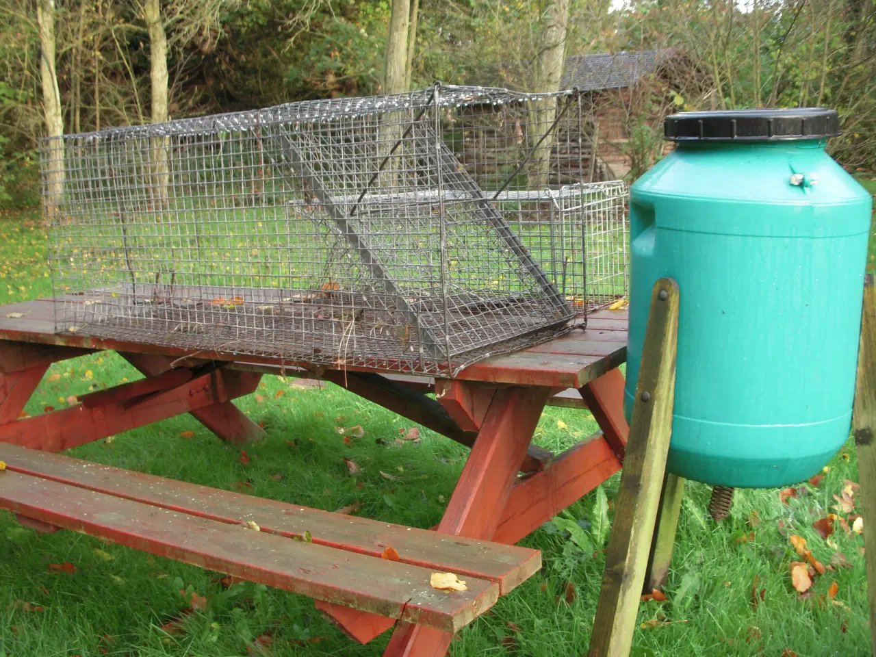 Billede 2 - Rævefælde + mårfælde+fodertønde