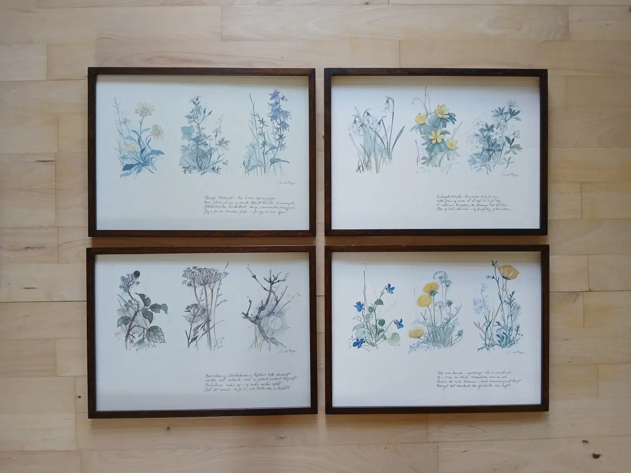 Billede 1 - Mads Stage Årets gang i blomster Litografier 