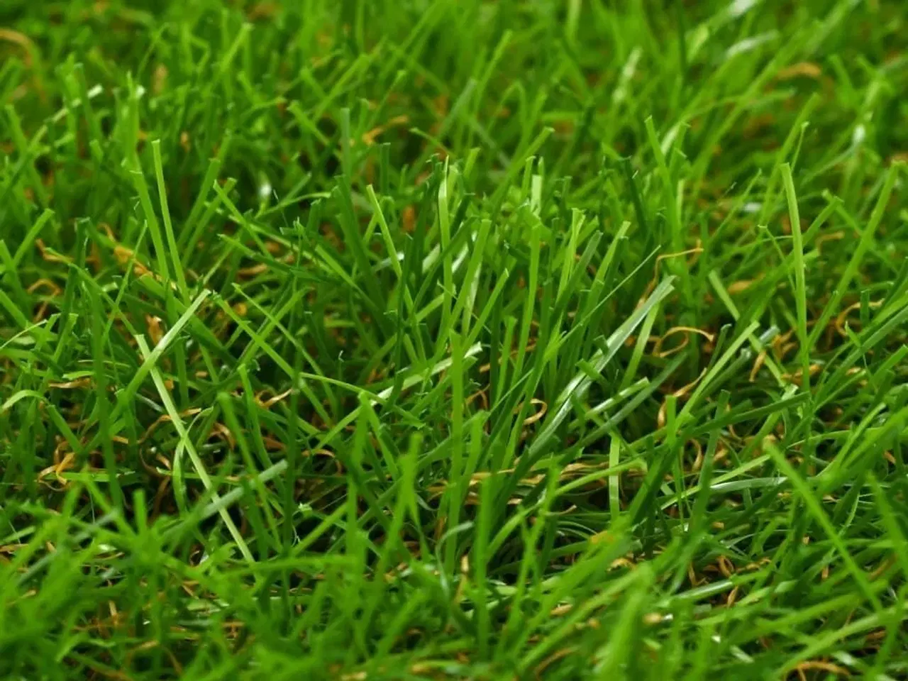 Billede 2 - Kunstgræs 1x2 m/30 mm grøn