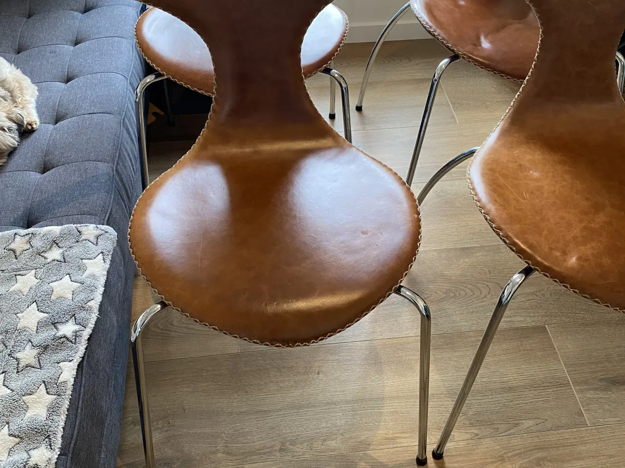 Billede 2 - Dolphin stole i cognac farvet læder 