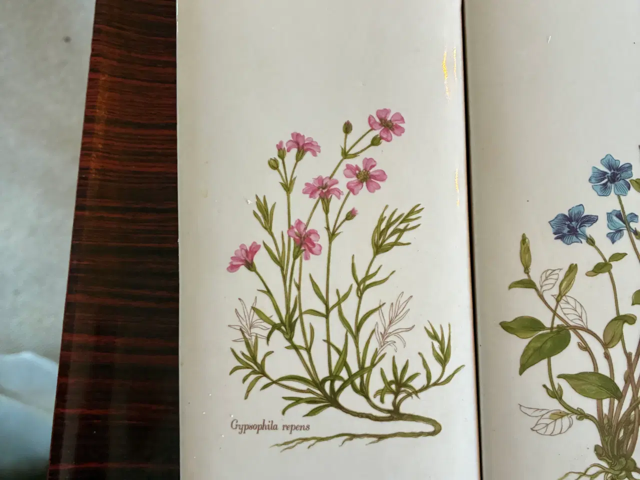 Billede 2 - Retro luftfugtere