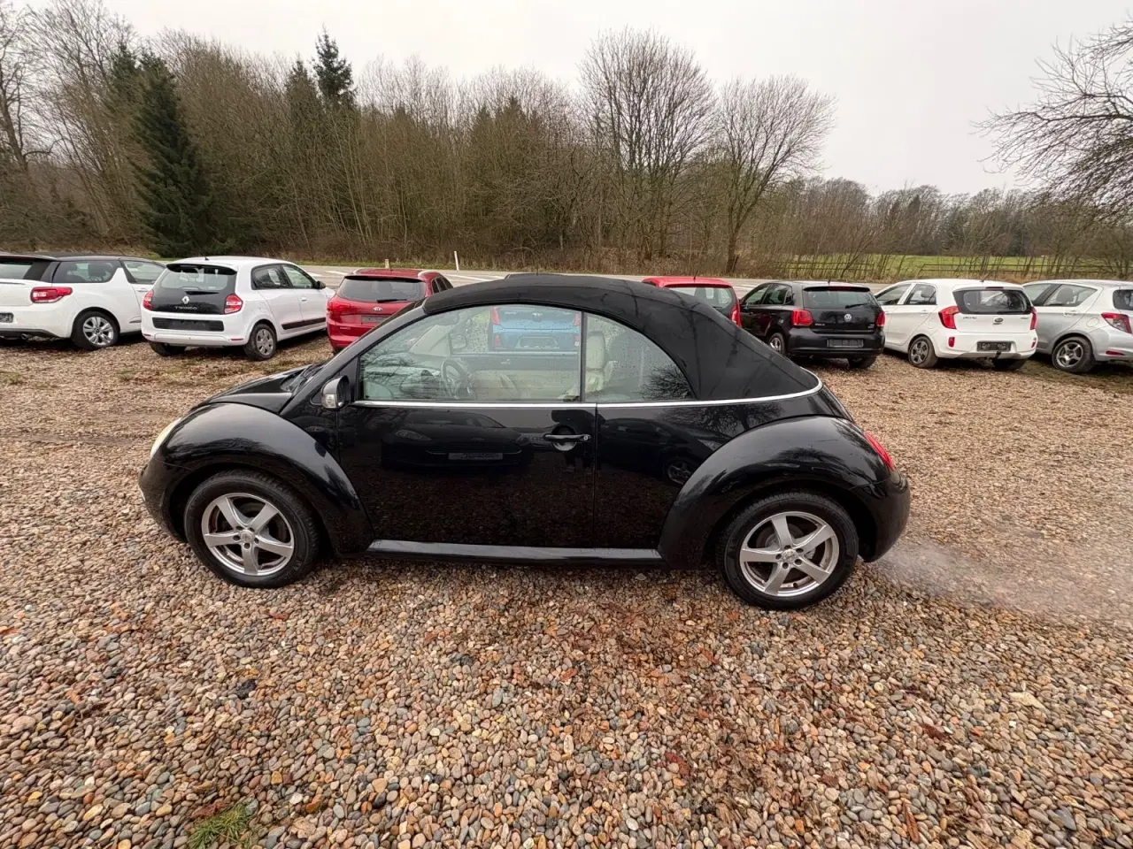 Billede 18 - VW New Beetle 1,9 TDi 100 Cabriolet