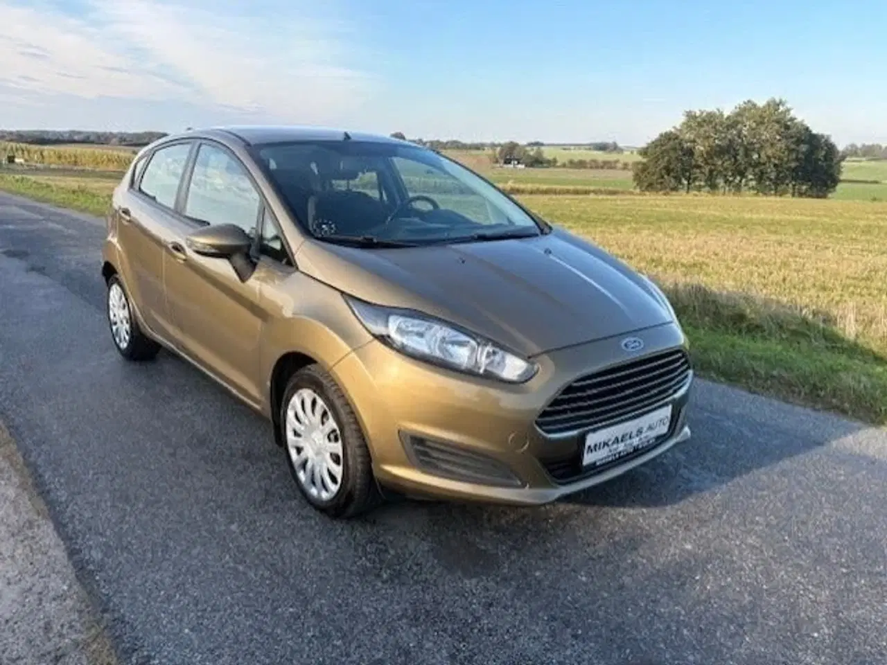 Billede 3 - Ford Fiesta 1,0 65 Trend