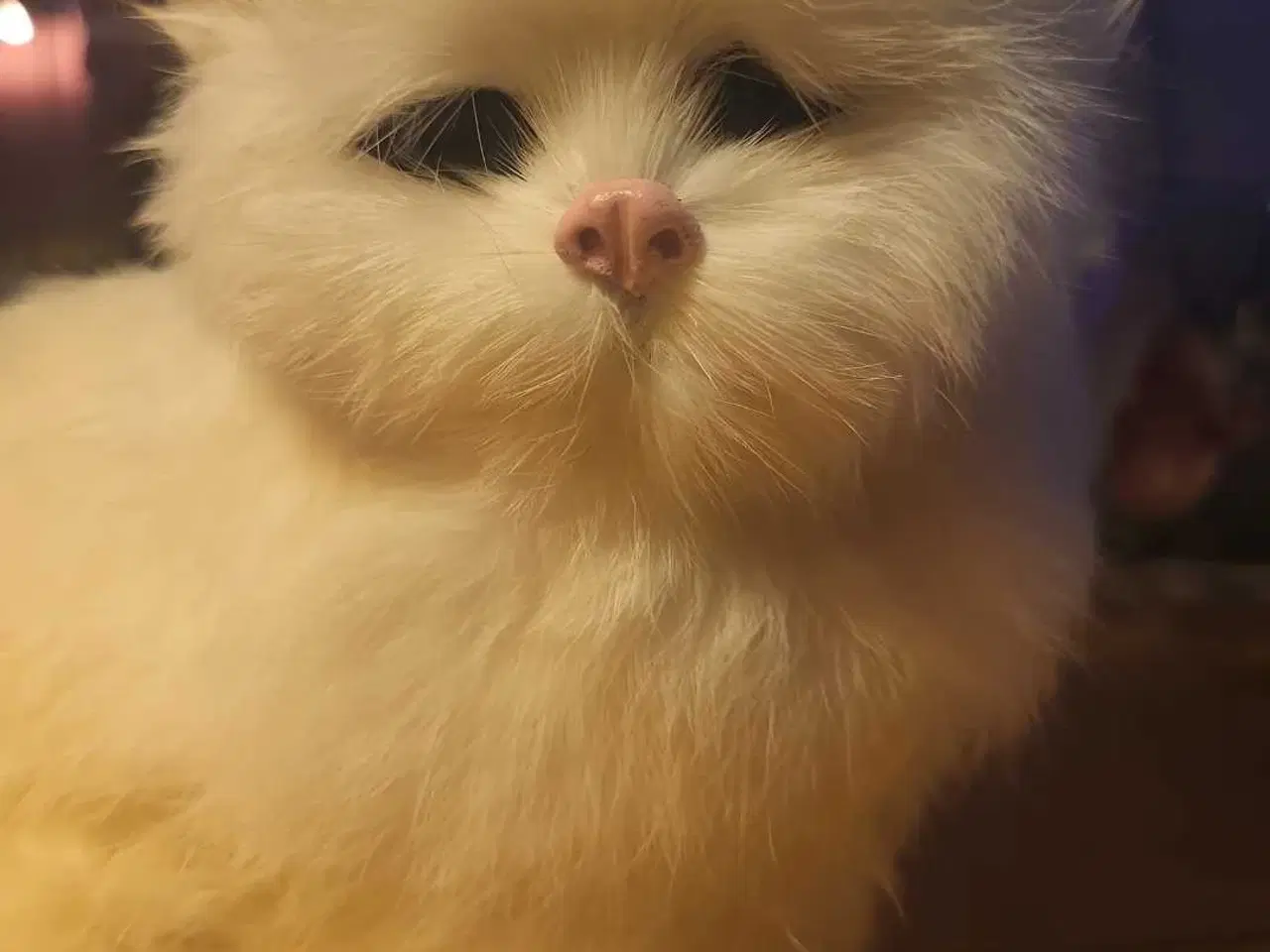 Billede 2 - Hvid Persisk Kattefigur