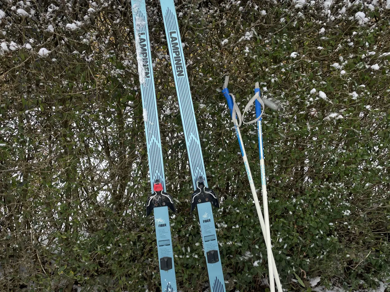 Billede 3 - Langrendsski