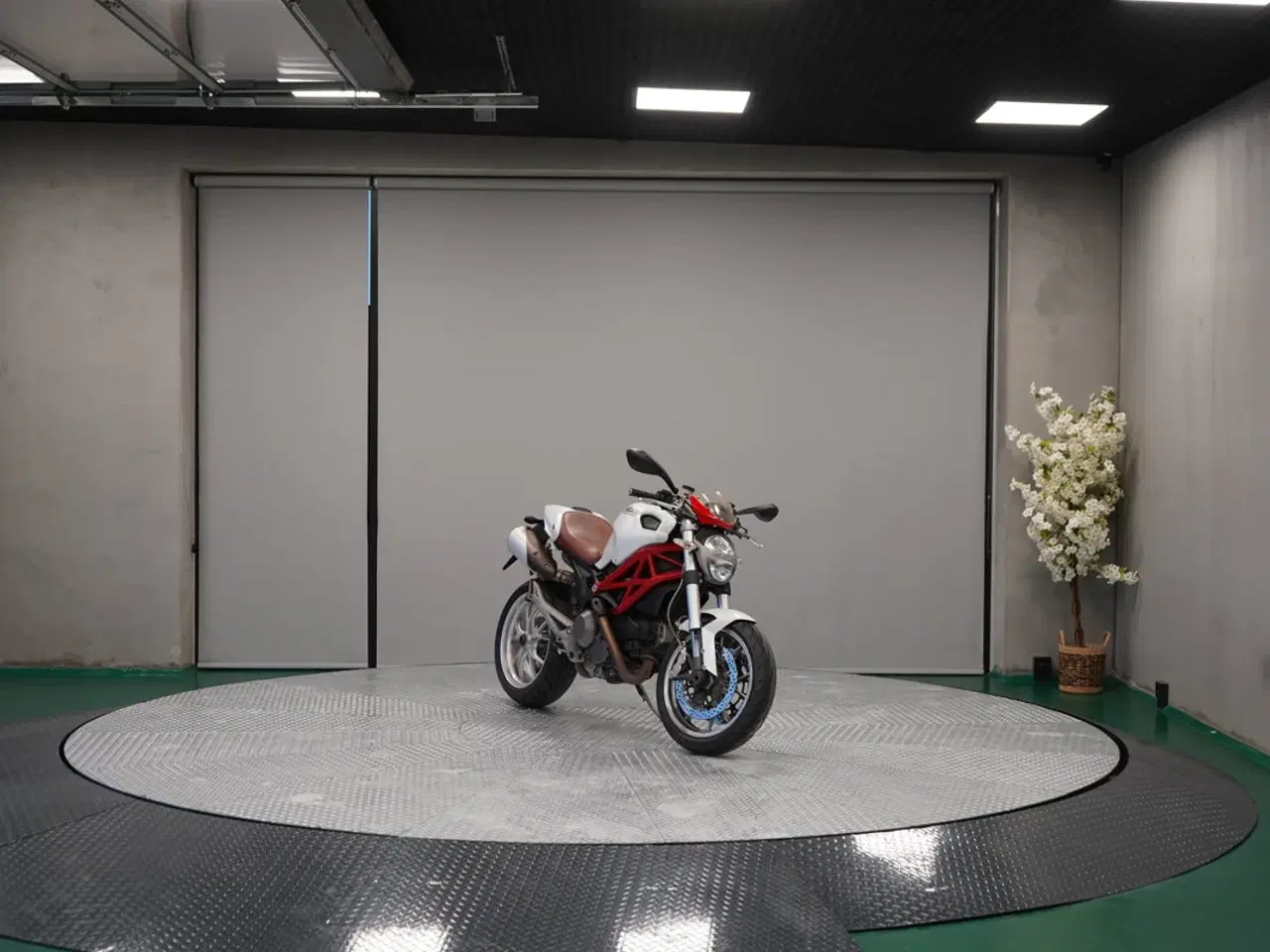 Billede 7 - DUCATI MONSTER 1100/1100S