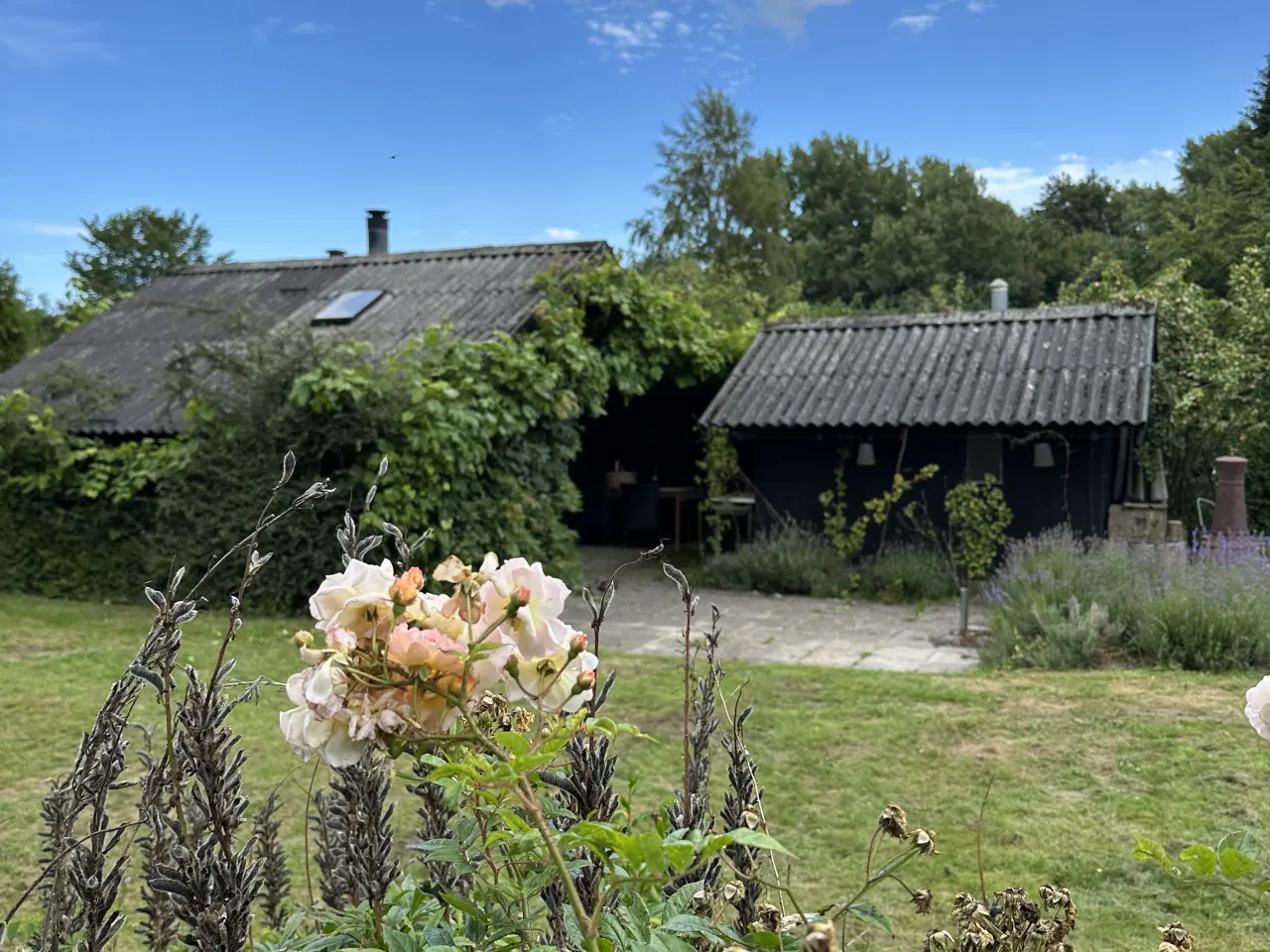 Billede 18 - Skøn kolonihave med fantastisk beliggenhed 