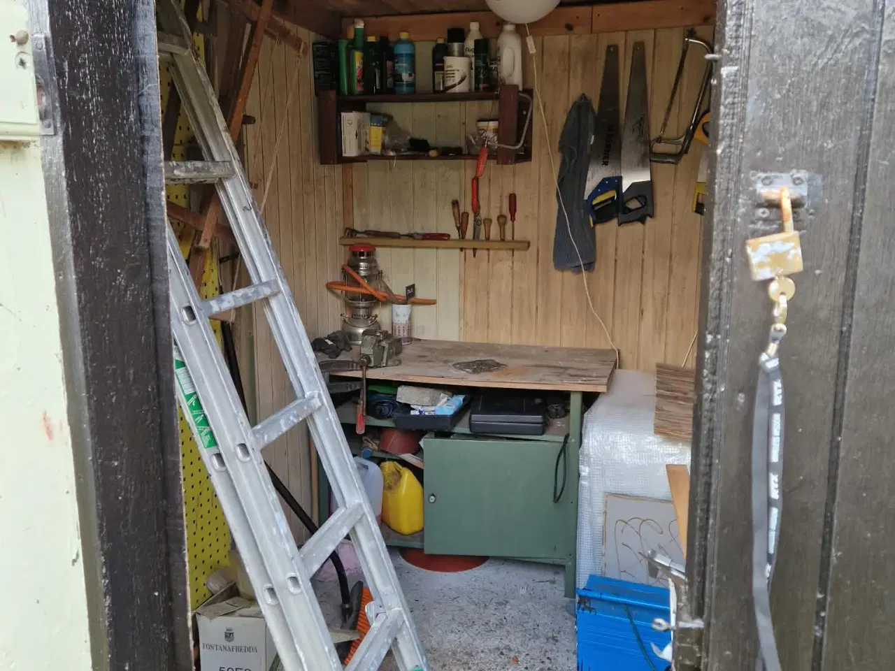 Billede 9 - Kolonihave i Odense C