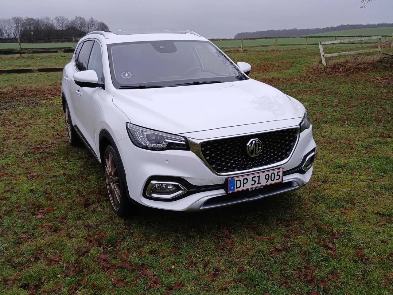 Billede 6 - MG EHS HYBRID Med træk 1500kg.